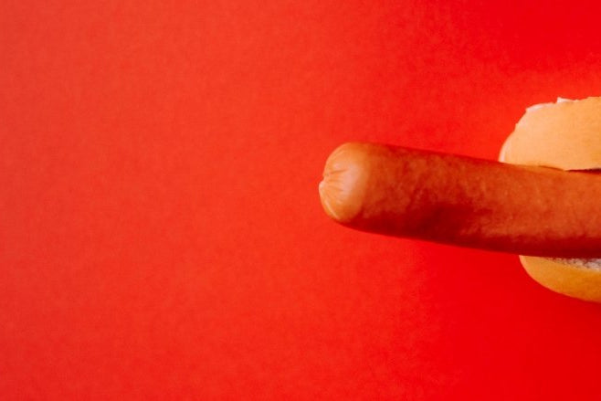 Dildos and Dongs - The Haus of Shag