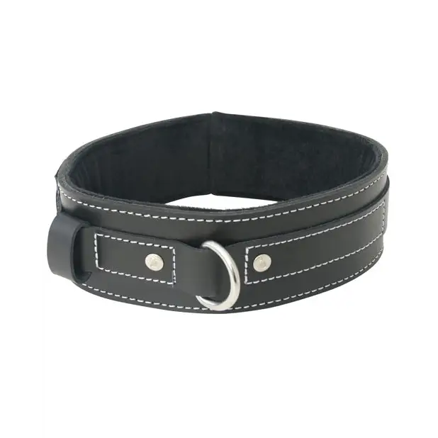 Edge Lined Leather Collar - Bondage Fetish & Kink