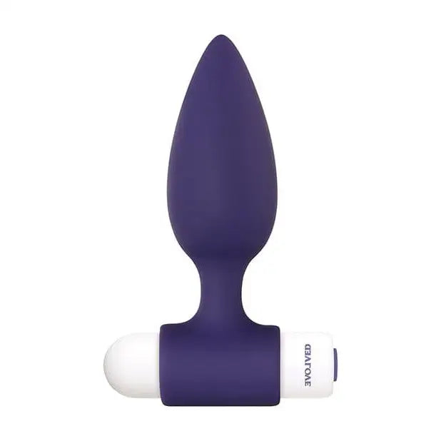 Evolved Dynamic Duo butt plug: purple silicone anal toy with bullet vibrator for beginners