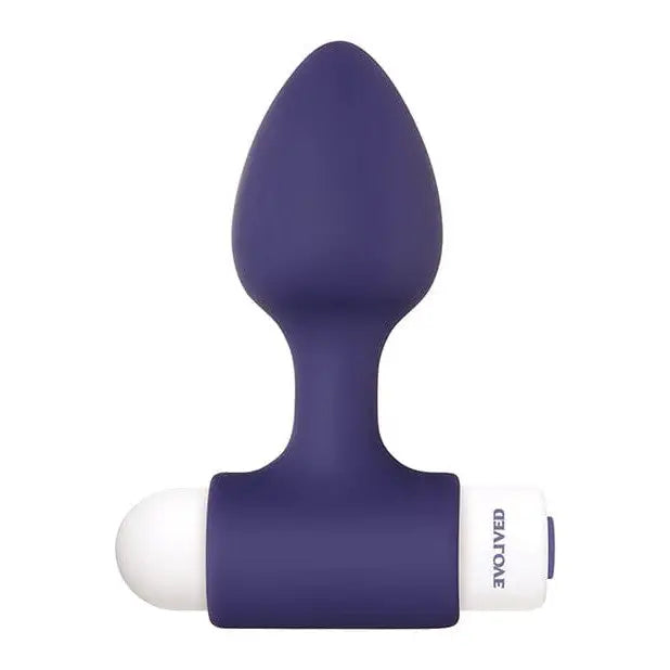 Evolved Dynamic Duo blue silicone butt plug kit with bullet vibrator for enhanced pleasure