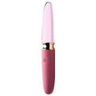 Prisms Vibrator 10x Rose Dual Ended Smooth Silicone And Glass Vibrator at the Haus of Shag