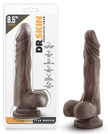 Blush Dr. Skin Stud Muffin Realistic 8.5 in. Dildo with Balls & Suction Cup Brown