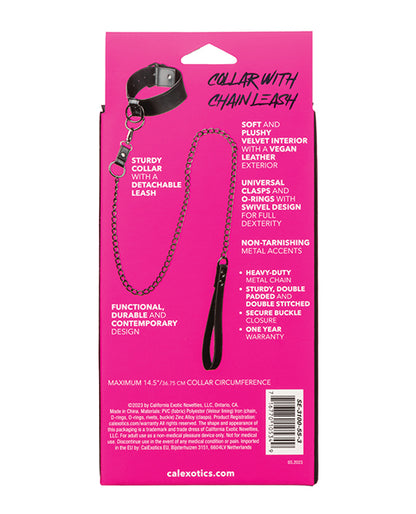 Euphoria Collection Collar W/chain Leash