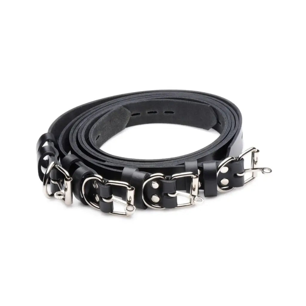 Strict Leather Leatherr 4 Pack Leather Locking Bondage Straps at the Haus of Shag