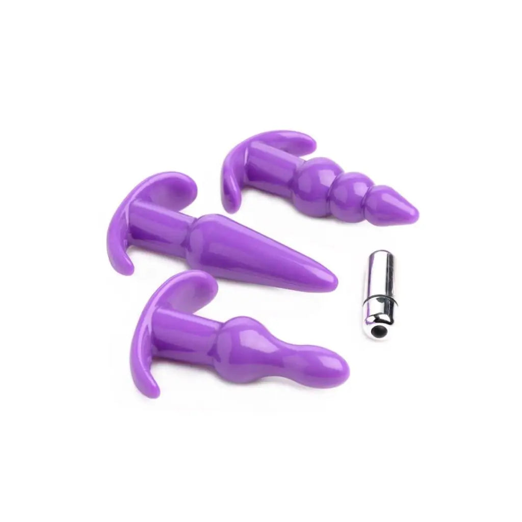 4 Piece Vibrating Anal Plug Set: Purple silicone anal plugs and metal bullet vibrator