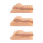 Always Horny Pocket Size Masturbators - 3 Pack - Dolls & Masturbators