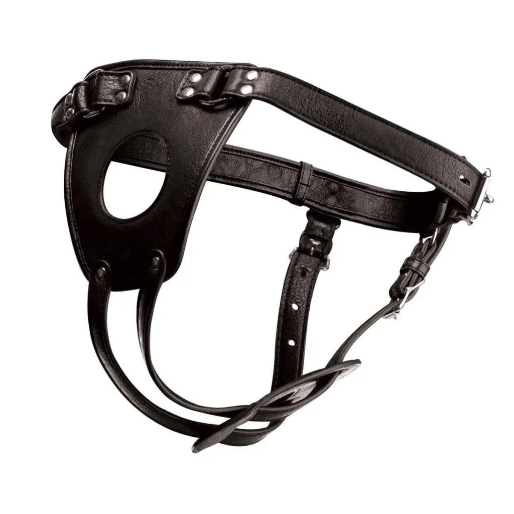 Master Series Strap On Harness Ass Holster Anal Plug Harness at the Haus of Shag