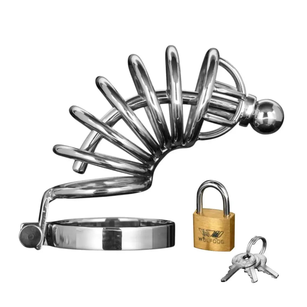 Asylum Ring Locking Chastity Cage - Secure metal device with padlock and keys for ultimate control