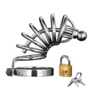 Asylum Ring Locking Chastity Cage - Secure metal device with padlock and keys for ultimate control