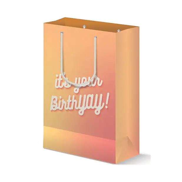 Birthyay Gift Bag - Party Supplies