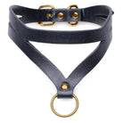 Master Series Leatherr Black And Gold Collar With Leash Kit at the Haus of Shag