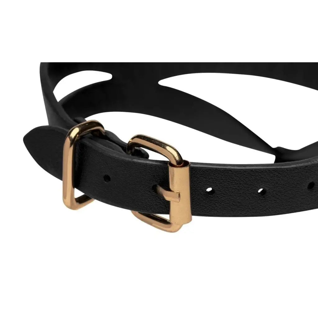 Master Series Leatherr Black And Gold Collar With Leash Kit at the Haus of Shag