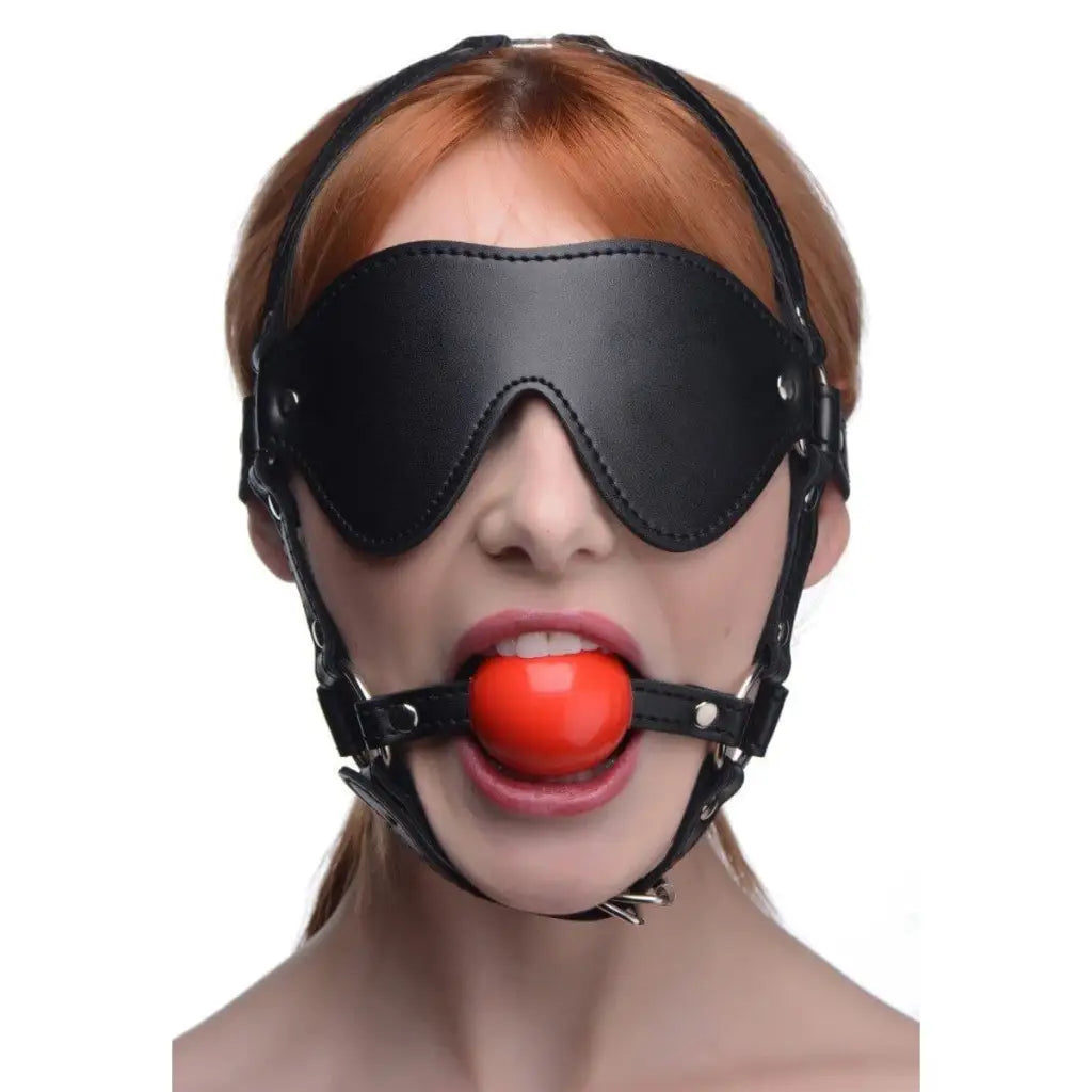 Explore BDSM with our Red Ball Gag and Blindfold Harness Set | Submissive  Pleasure Await! – The Haus of Shag