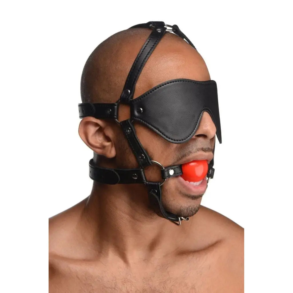 STRICT Hood Blindfold Harness And Red Ball Gag at the Haus of Shag