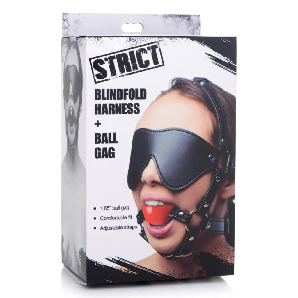 STRICT Hood Blindfold Harness And Red Ball Gag at the Haus of Shag