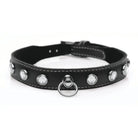 Master Series Collar Bling Vixen Leather Choker With Rhinestones - Clear at the Haus of Shag