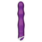 CalExotics Vibrator Body & Soul Seduction - Purple at the Haus of Shag