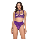 Bondage Stripe Demi Cup Underwire Bra & Panty Purple - Extra Large - Costumes