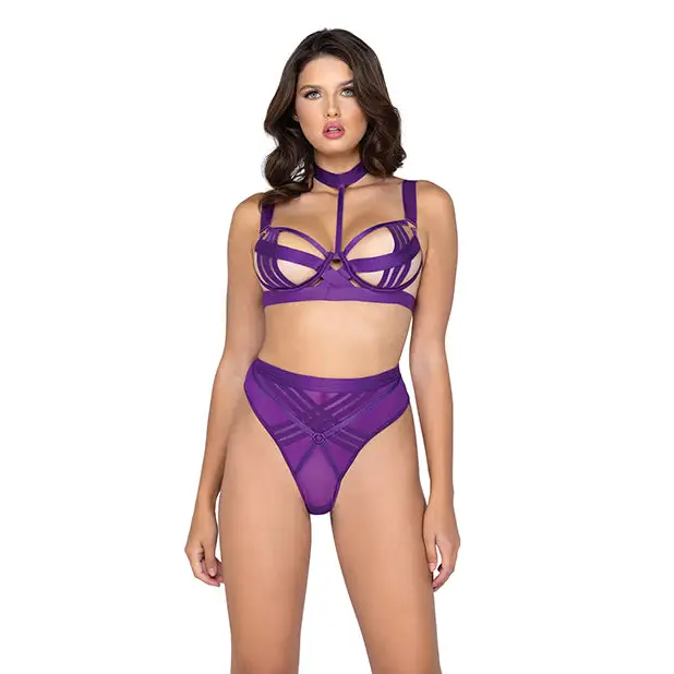 Bondage Stripe Demi Cup Underwire Bra & Panty Purple - Extra Large - Costumes