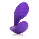 CalExotics Anal Toys Purple Booty Call Petite Probe at the Haus of Shag