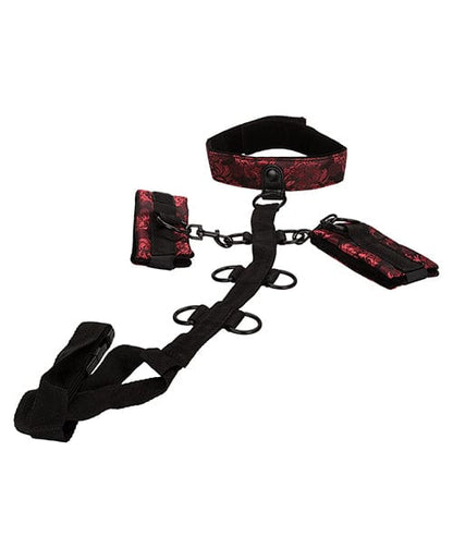 CalExotics Bondage Blindfolds & Restraints Scandal Collar Body Restraint - Black/red at the Haus of Shag