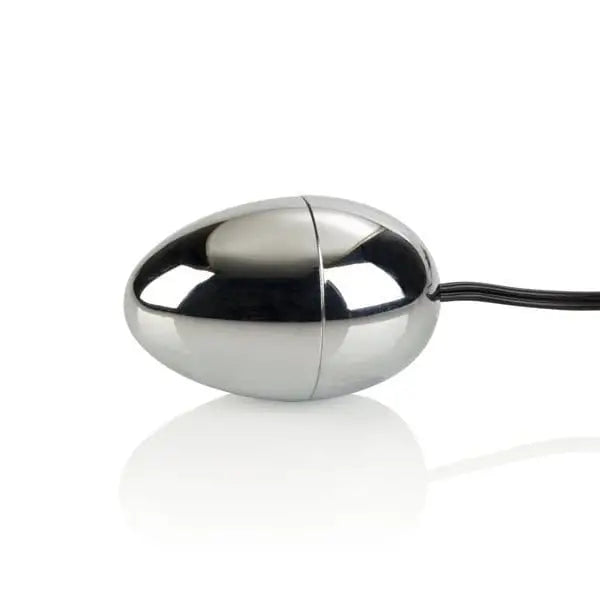 CalExotics Egg Vibrator Silver CalExotics Pocket Exotic Impulse Silver Egg at the Haus of Shag