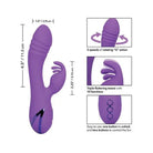 CalExotics Vibrator California Dreaming West Coast Wave Rider - Purple at the Haus of Shag