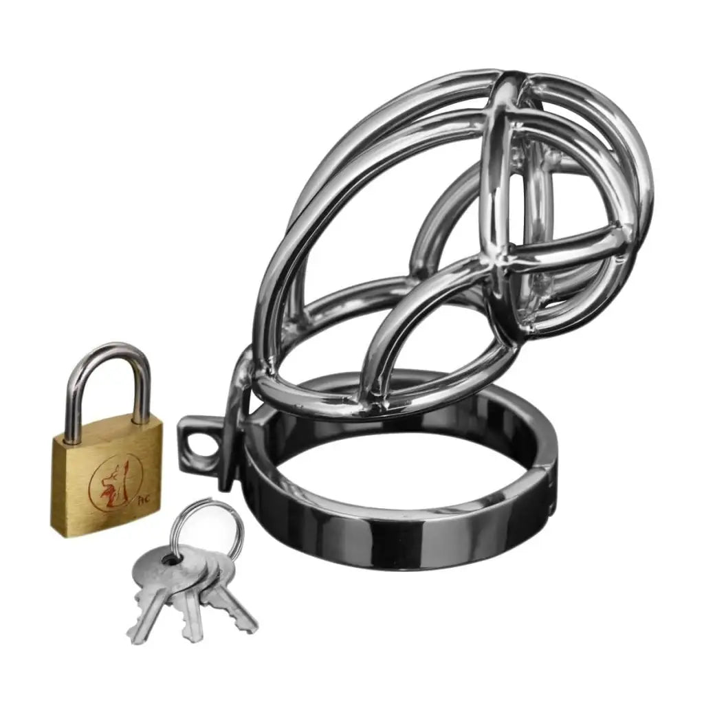 Master Series New-products Captus Stainless Steel Locking Chastity Cage at the Haus of Shag