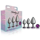 Cheeky Charms Metal Plug Kit Gunmetal Round - Deep Purple - Butt Plug