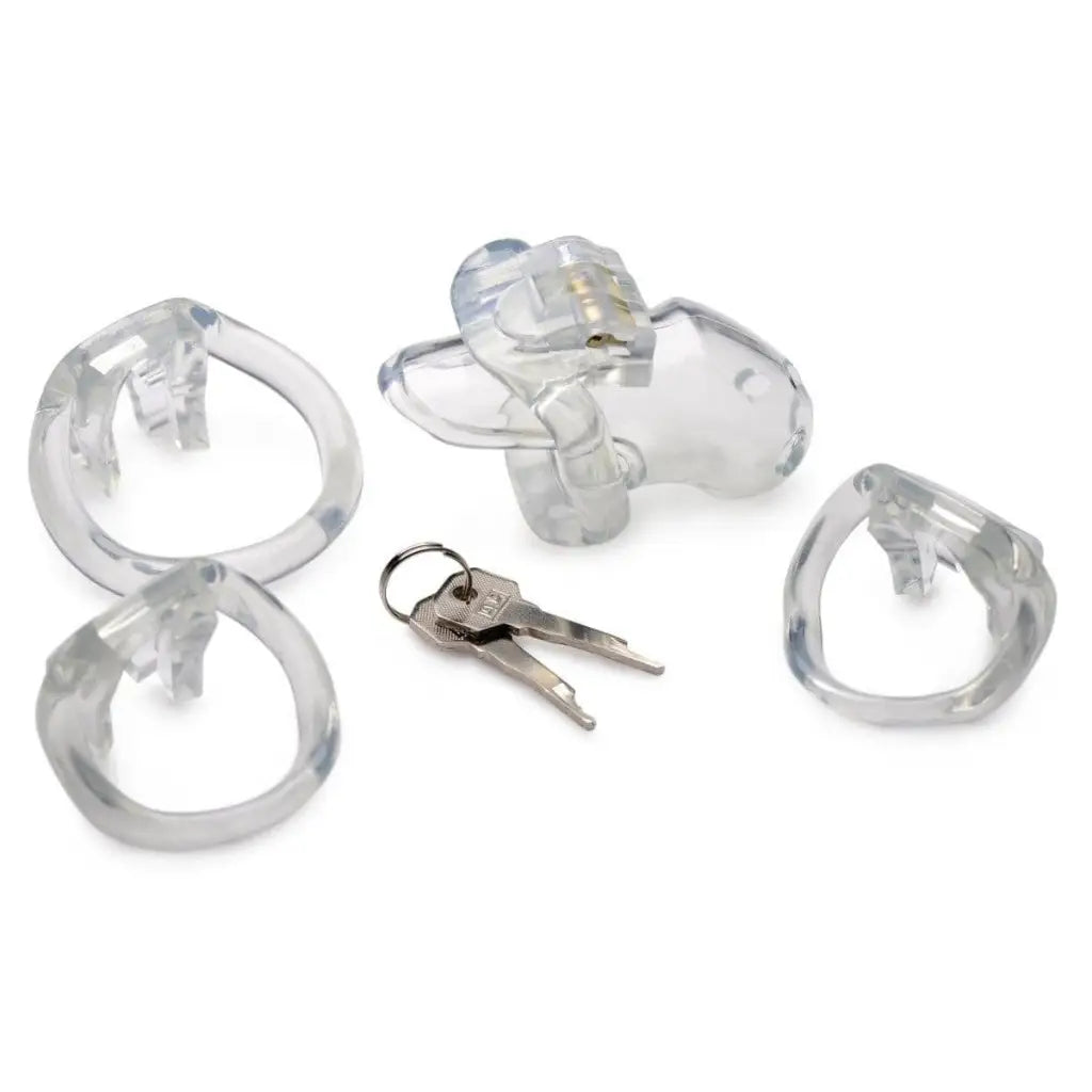 Master Series Cock Cage Clear Captor Chastity Cage at the Haus of Shag