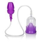 CalExotics Sextoys for Couples Purple Clitoral Intimate Pump at the Haus of Shag