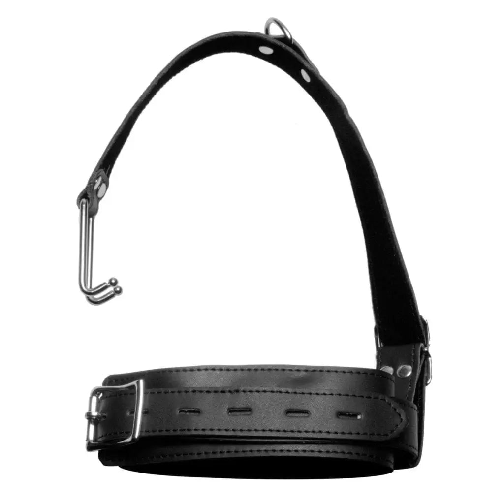 Master Series Collar Collar With Nose Hook at the Haus of Shag