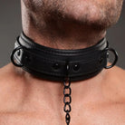 Master Series Nipple-clamps Collared Temptress Collar With Nipple Clamps at the Haus of Shag