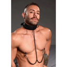 Master Series Nipple-clamps Collared Temptress Collar With Nipple Clamps at the Haus of Shag