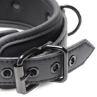 Master Series Nipple-clamps Collared Temptress Collar With Nipple Clamps at the Haus of Shag