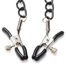 Master Series Nipple-clamps Collared Temptress Collar With Nipple Clamps at the Haus of Shag