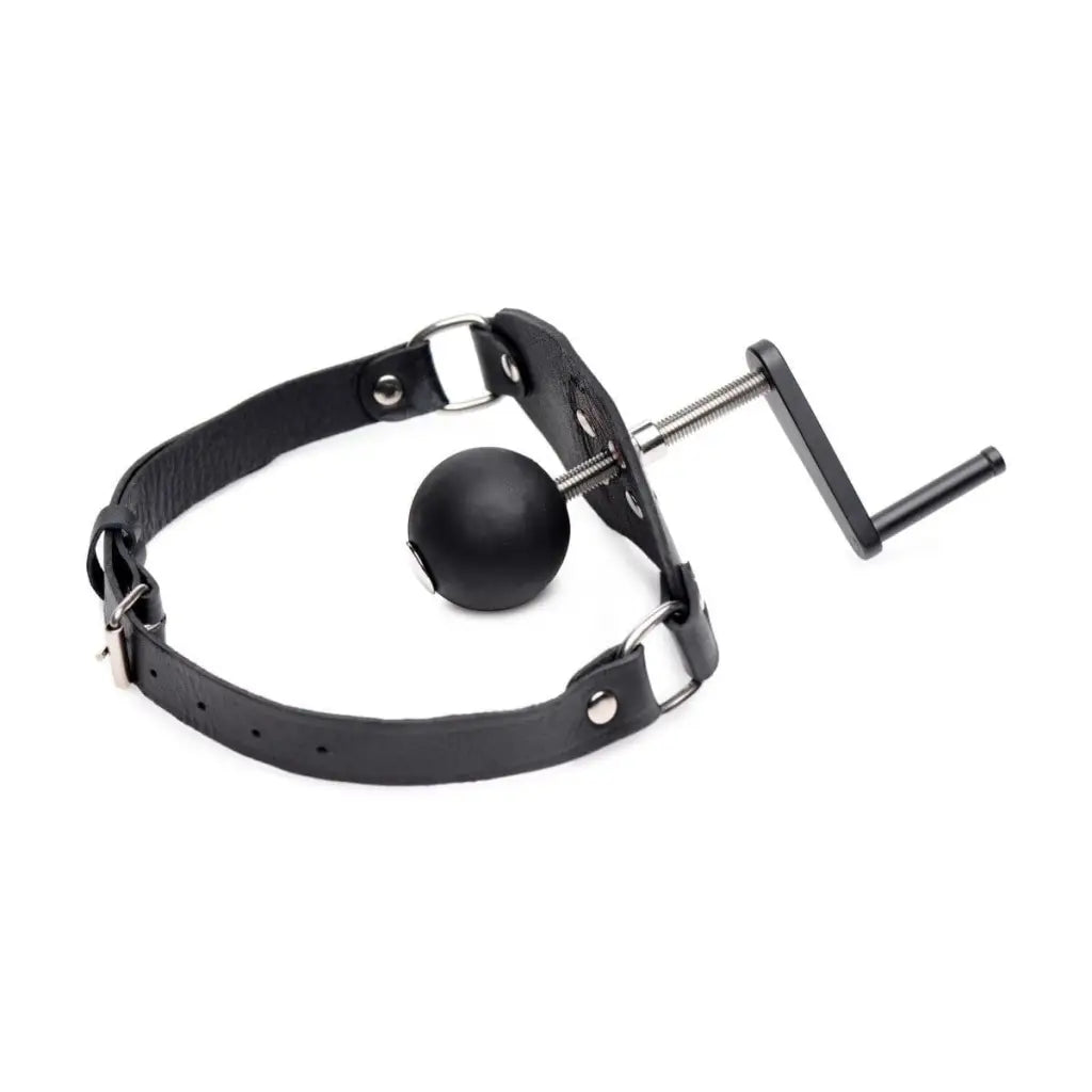 Master Series Gag Crank Ball Gag at the Haus of Shag