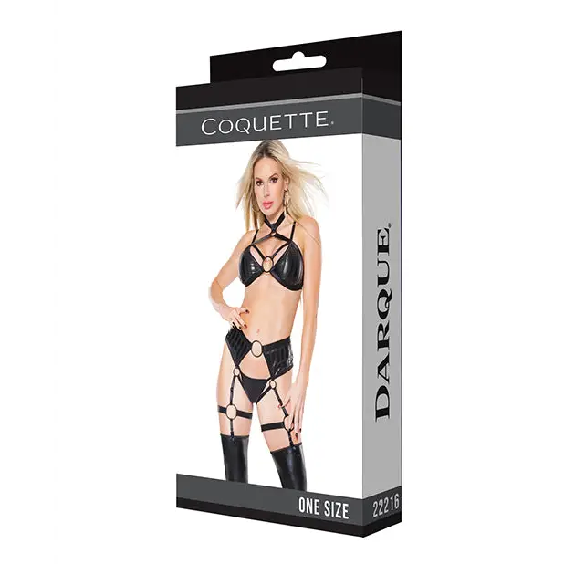 Darque Wet Look Striped Strappy Halter Top & Crotchless Garter Panty Black Os - Two Piece Outfit