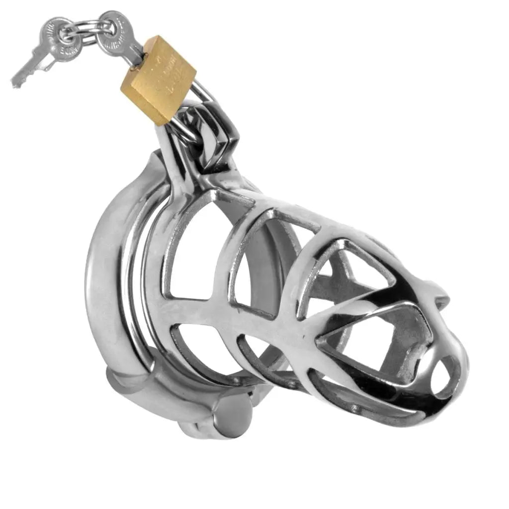 Detained Stainless Steel Chastity Cage with Padlock and Keys - Secure and Durable