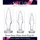 Prisms Plug Dosha 3 Piece Glass Anal Plug Kit at the Haus of Shag