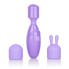 CalExotics Vibrator Dr Laura Berman Olivia Rechargeable Mini Massager W/ Attachments at the Haus of Shag