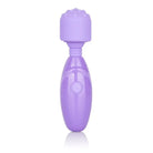 CalExotics Vibrator Dr Laura Berman Olivia Rechargeable Mini Massager W/ Attachments at the Haus of Shag