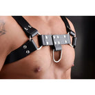 English Bull Dog Harness: Leather harness with metal studs and rings worn on the chest