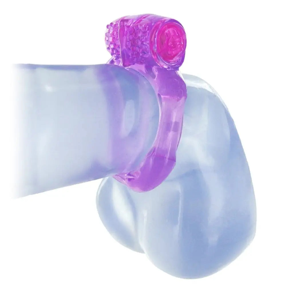 Trinity Vibes Vibrator Kit Purple Euphoria Couples Vibrator Kit at the Haus of Shag