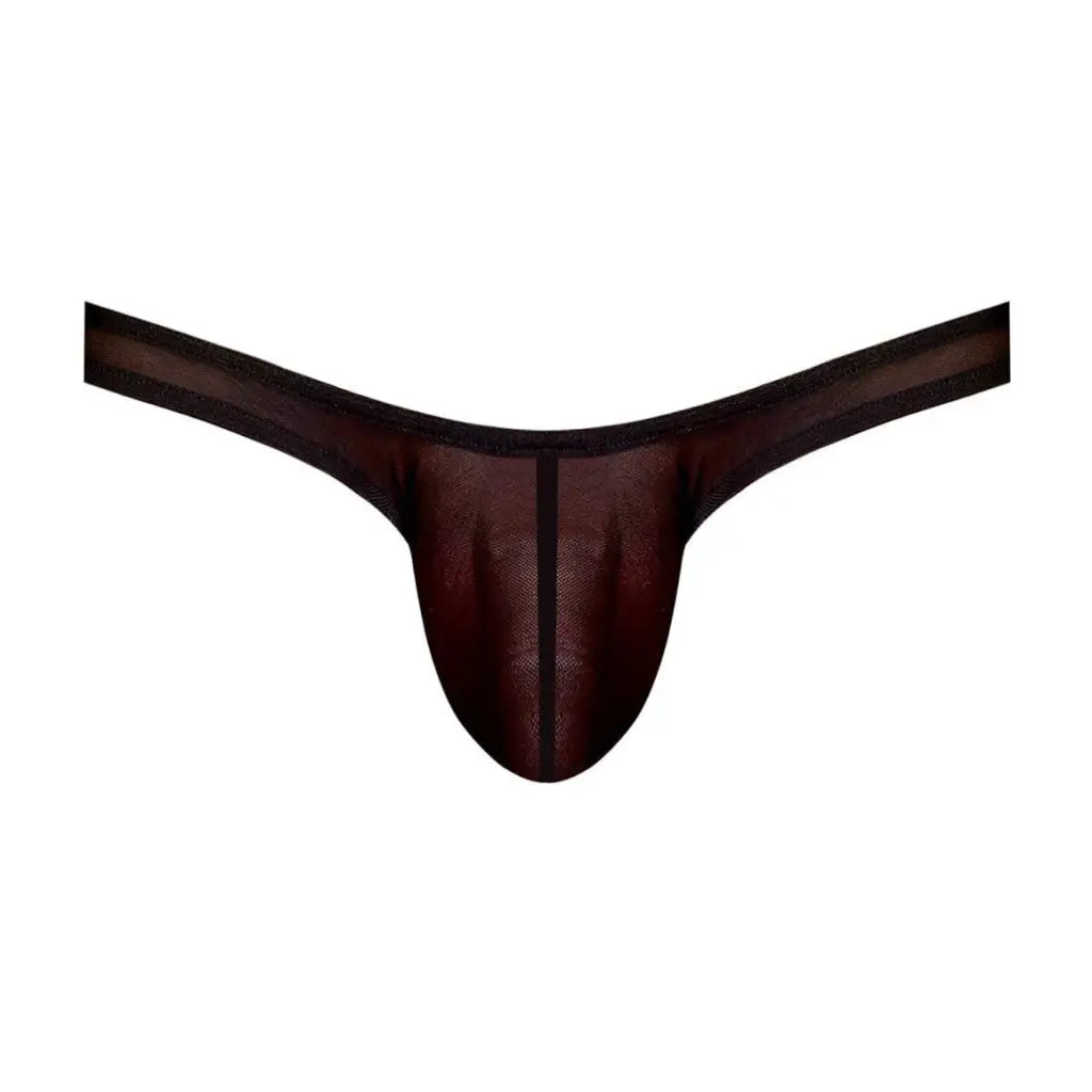 Euro Male Mesh Thong - Men’s sheer black thong underwear for sexy and stylish comfort