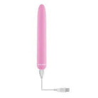 Evolved Carnation Classic Vibrator - Pink with USB Cord for Modern Pleasure