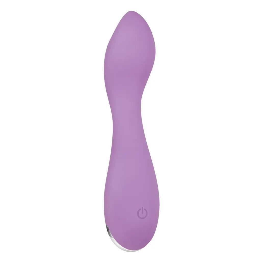 Evolved Vibrator Evolved Lilac G Petite G Spot Vibe - Purple at the Haus of Shag