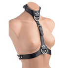 STRICT Harness Female Chest Harness at the Haus of Shag
