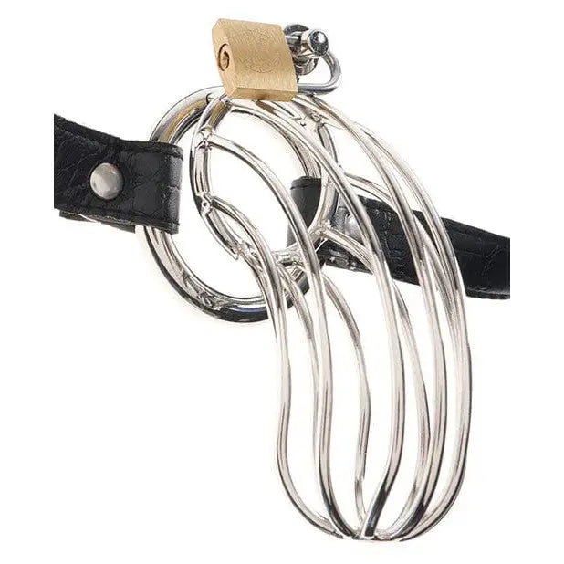 Fetish Fantasy Extreme metal chastity cage with lock and leather strap