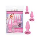 CalExotics Anal Kit Pink First Time Crystal Booty Kit at the Haus of Shag